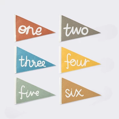 Milestone Felt Pennants - Multi Color - Cloud Island™ 2 Milestone Felt Pennants - Multi Color - Cloud Island™ - Image 2
