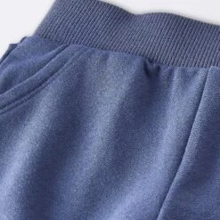 Baby Boys' 2pc Fox Applique Sweatshirt & Shorts Set - Cloud Island™ Navy Blue -Cloud Island Shop GUEST 68f55a48 87cc 4a4d aa16 d748ea01acfd