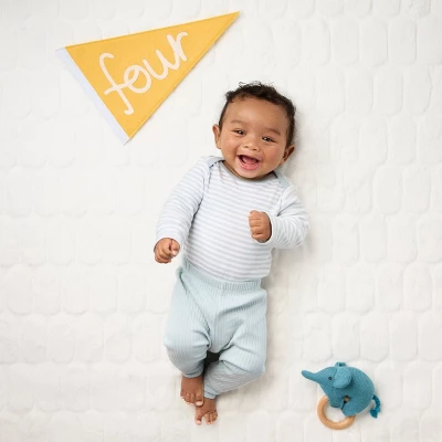 Milestone Felt Pennants - Multi Color - Cloud Island™ 1 Milestone Felt Pennants - Multi Color - Cloud Island™