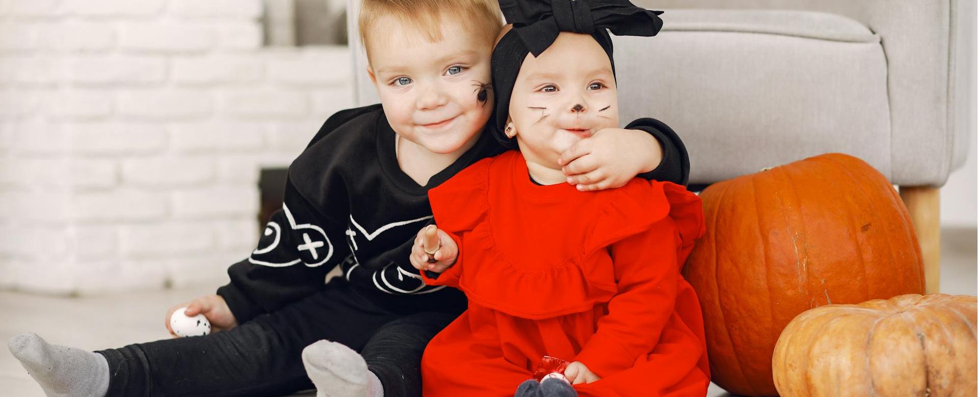 Cloud Island Shop -Cloud Island Shop pexels gustavo fring 5522278